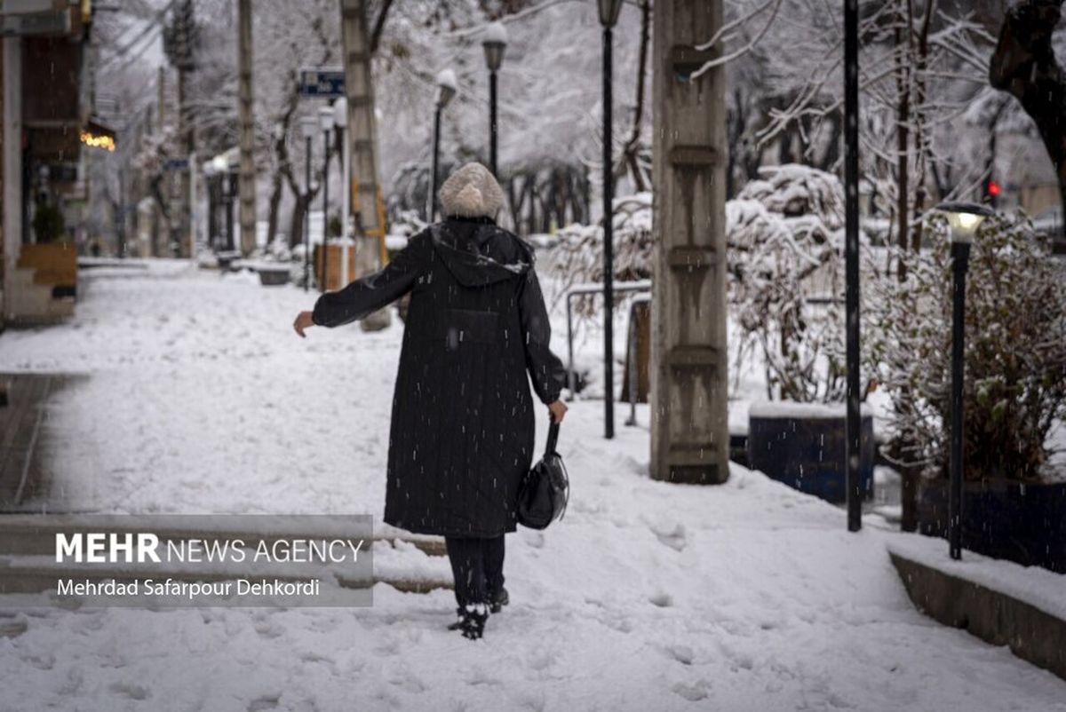 قابهایی حال خوب کن از طبیعت برفی بام ایران